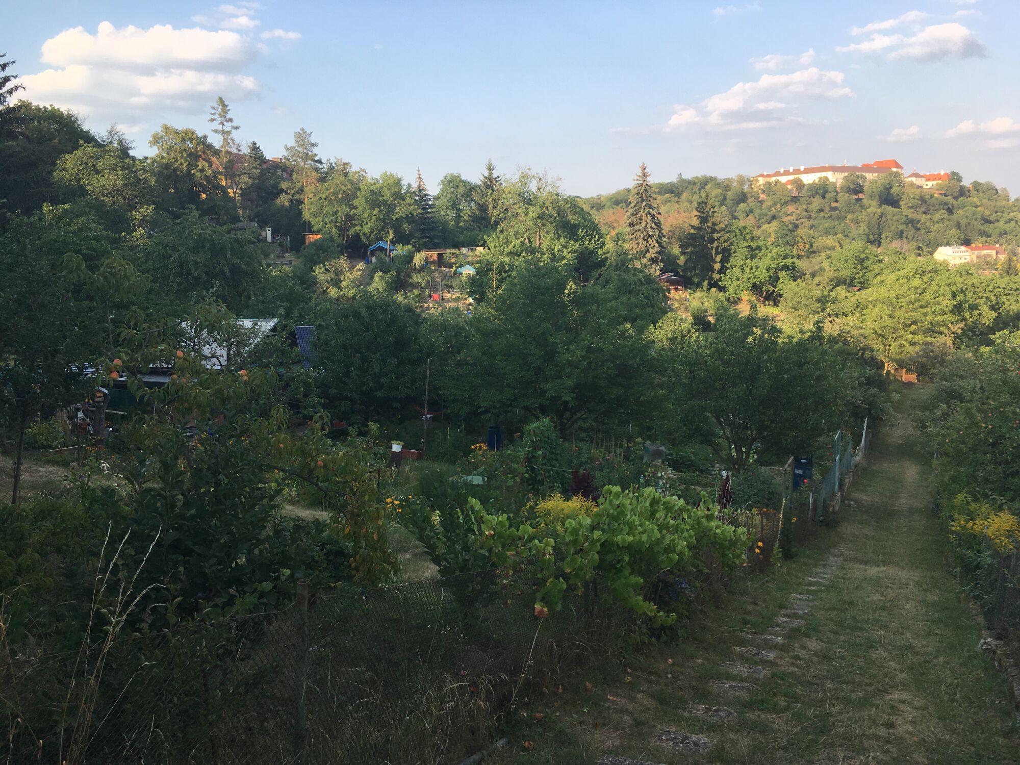 Zahrádky, 23. července 2018